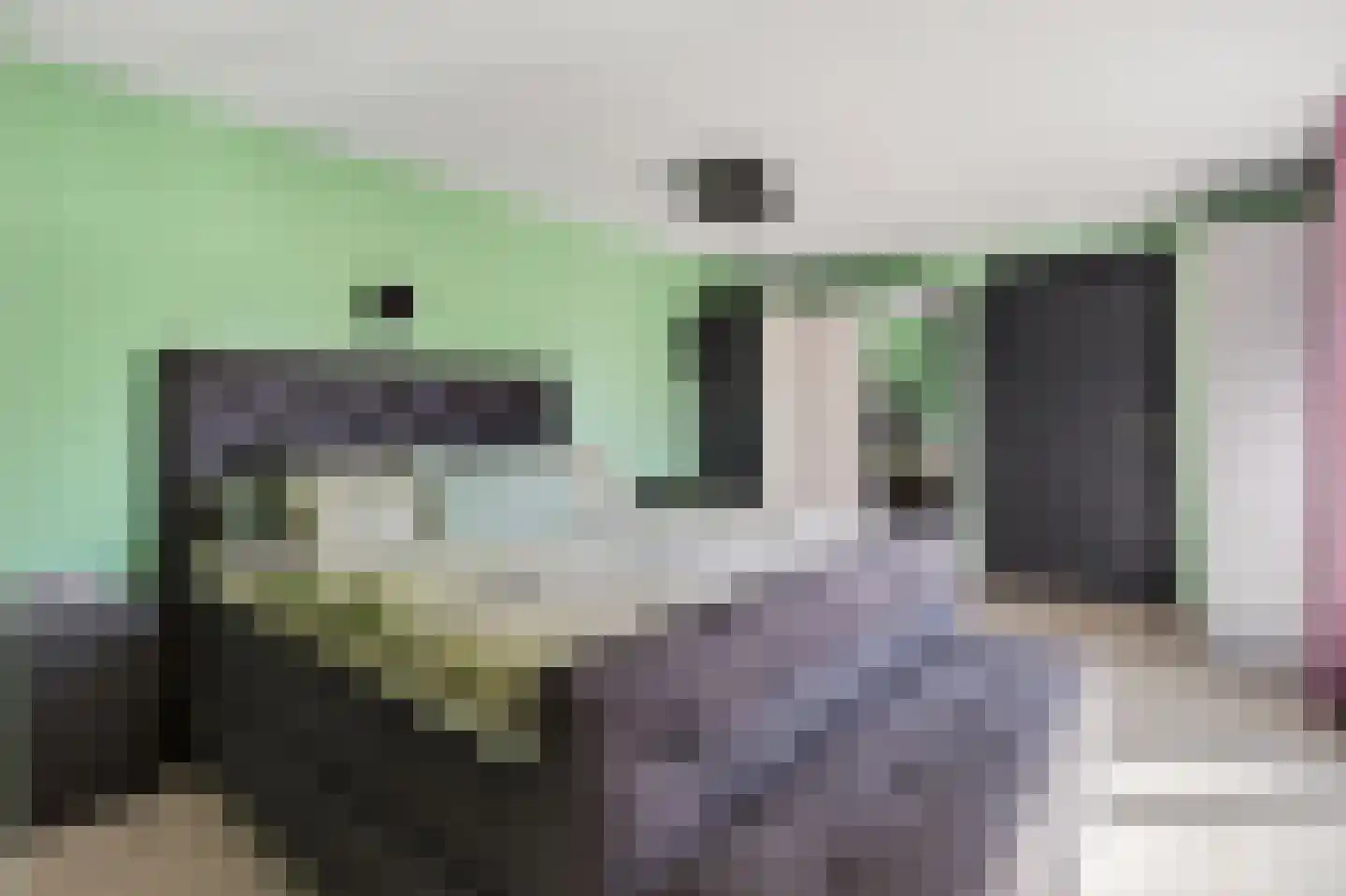 Julianalaan 14 Hapert thumbnail 33