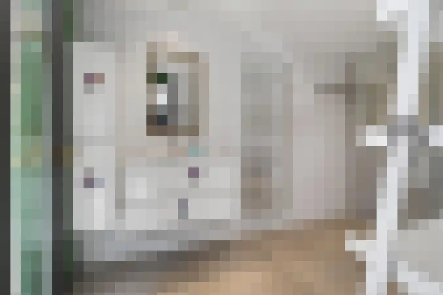 Julianalaan 14 Hapert thumbnail 35