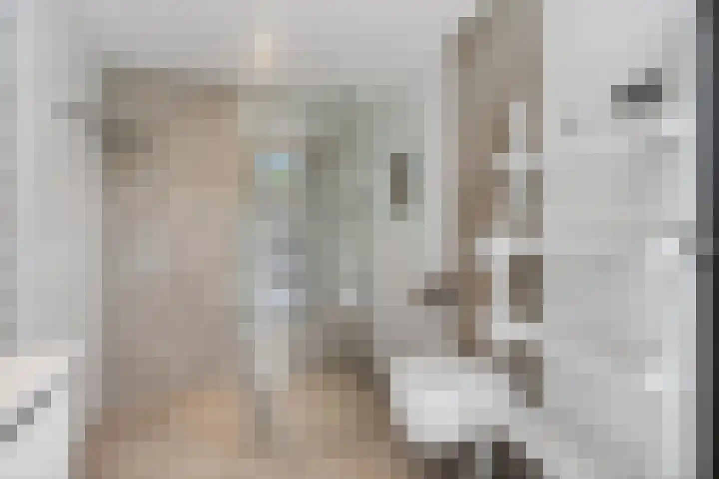 Julianalaan 14 Hapert thumbnail 37