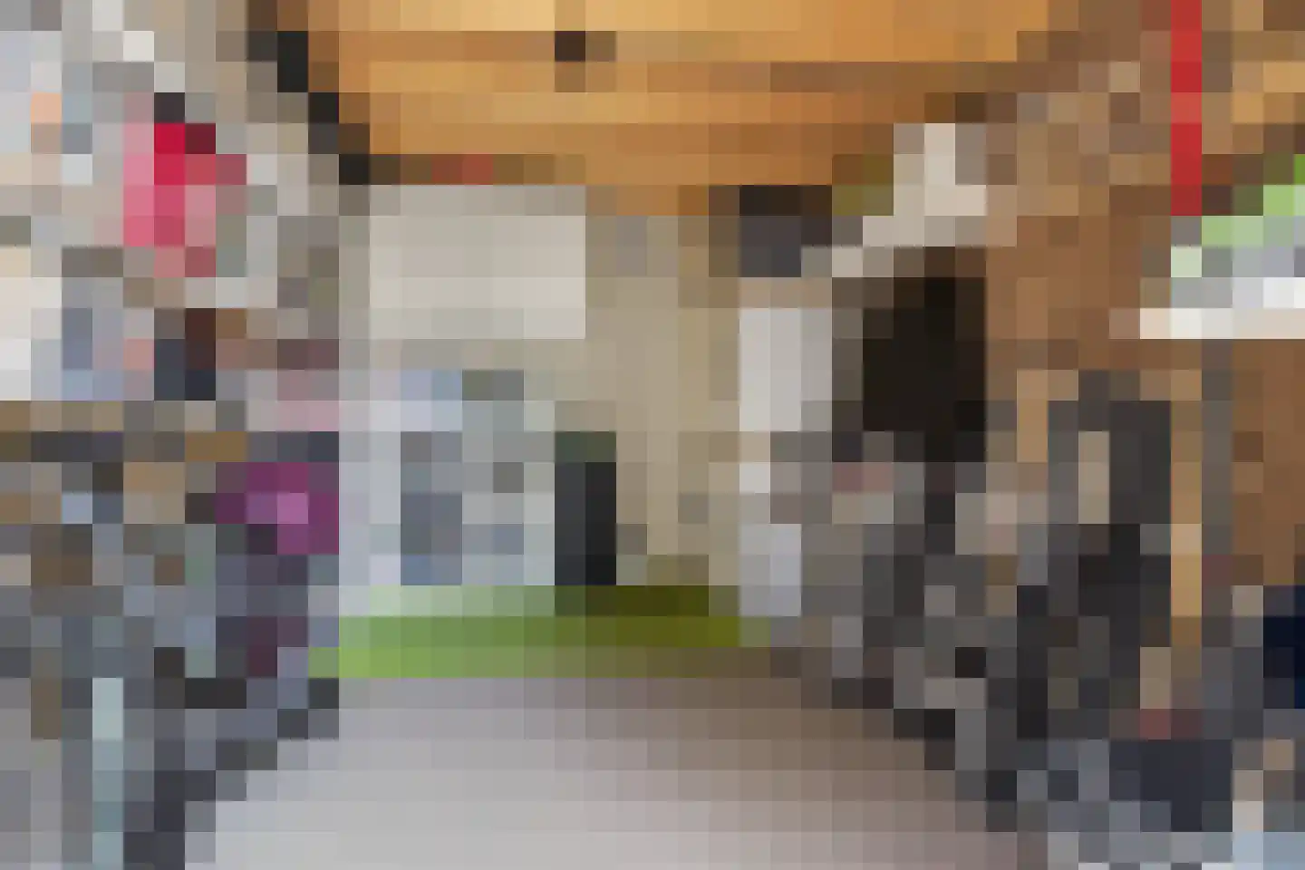 Julianalaan 14 Hapert thumbnail 39