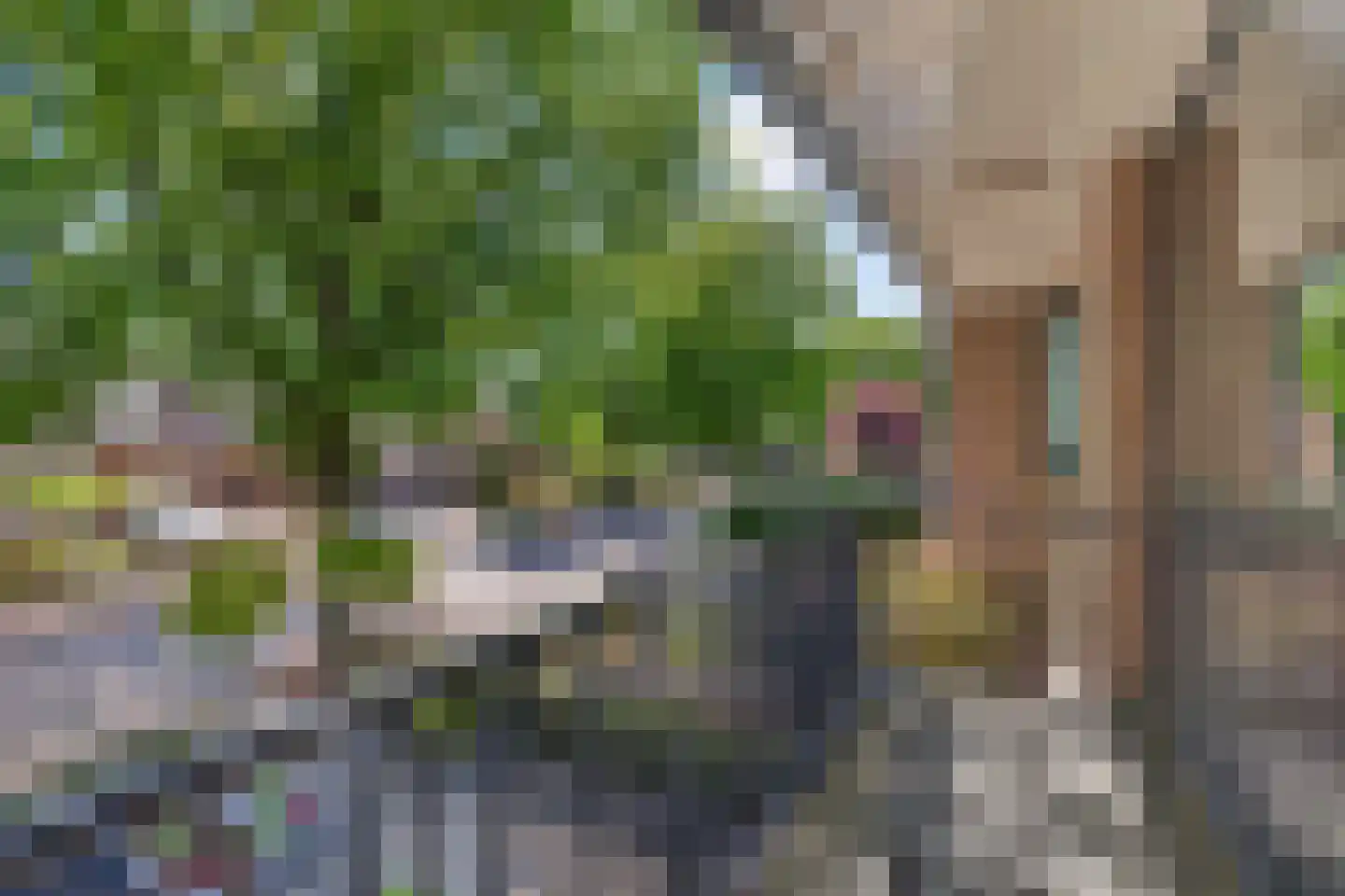 Julianalaan 14 Hapert thumbnail 44