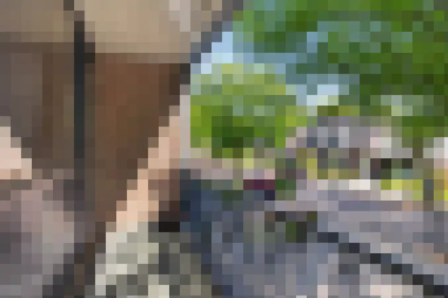 Julianalaan 14 Hapert thumbnail 45