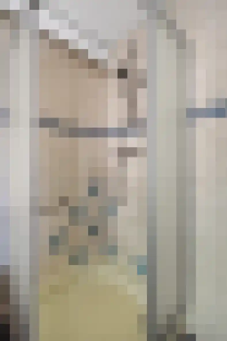 Julianalaan 14 Hapert thumbnail 49