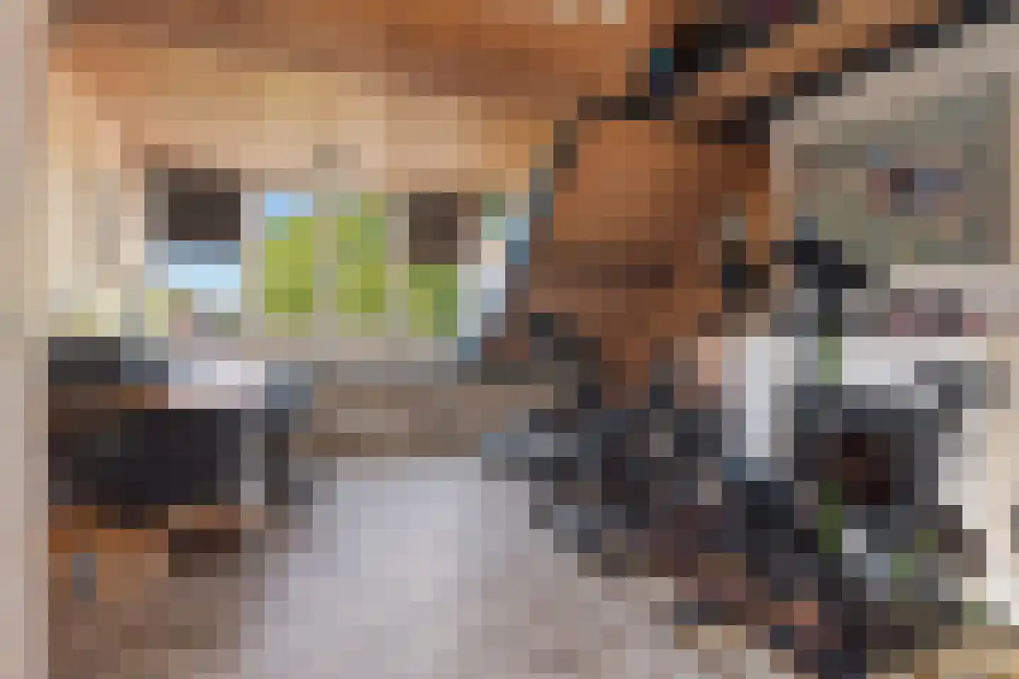 Julianalaan 14 Hapert thumbnail 55