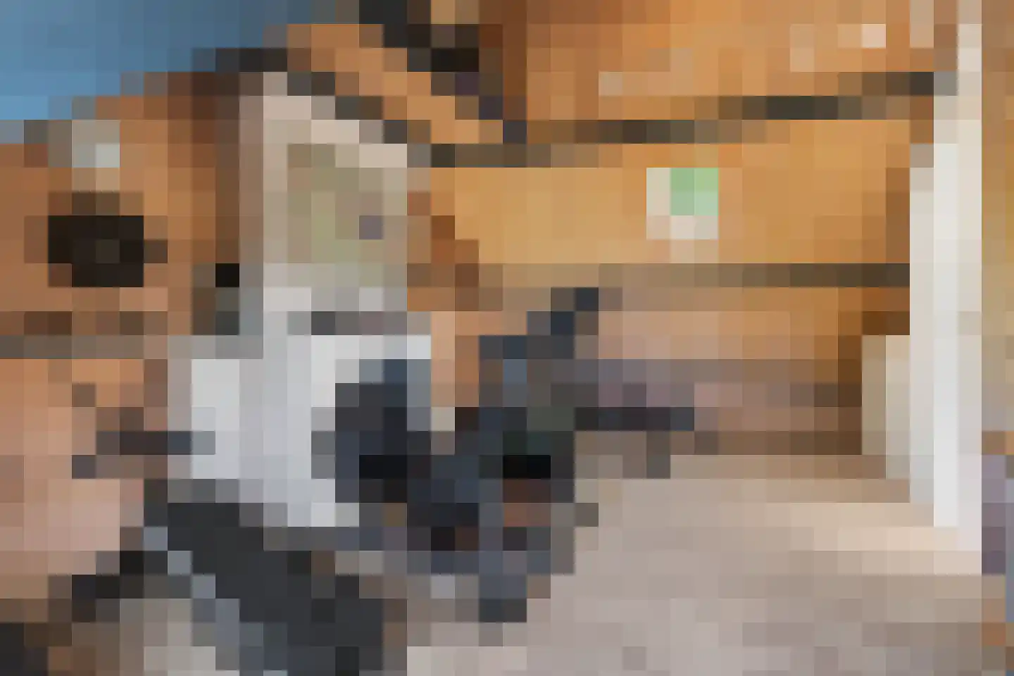 Julianalaan 14 Hapert thumbnail 56