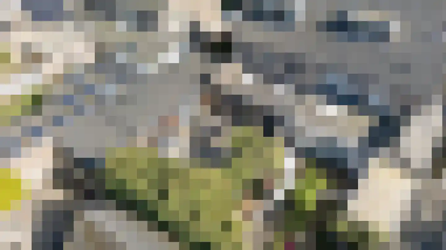 Julianalaan 14 Hapert thumbnail 63