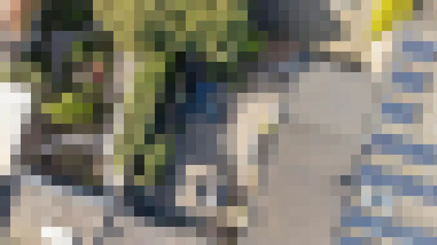 Julianalaan 14 Hapert thumbnail 64