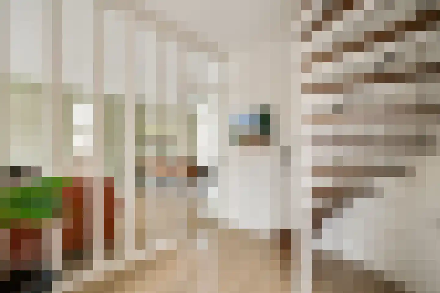 Julianalaan 14 Maarheeze thumbnail 12