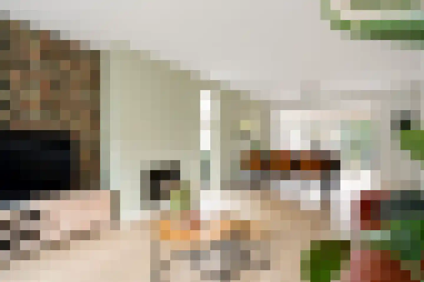 Julianalaan 14 Maarheeze thumbnail 16