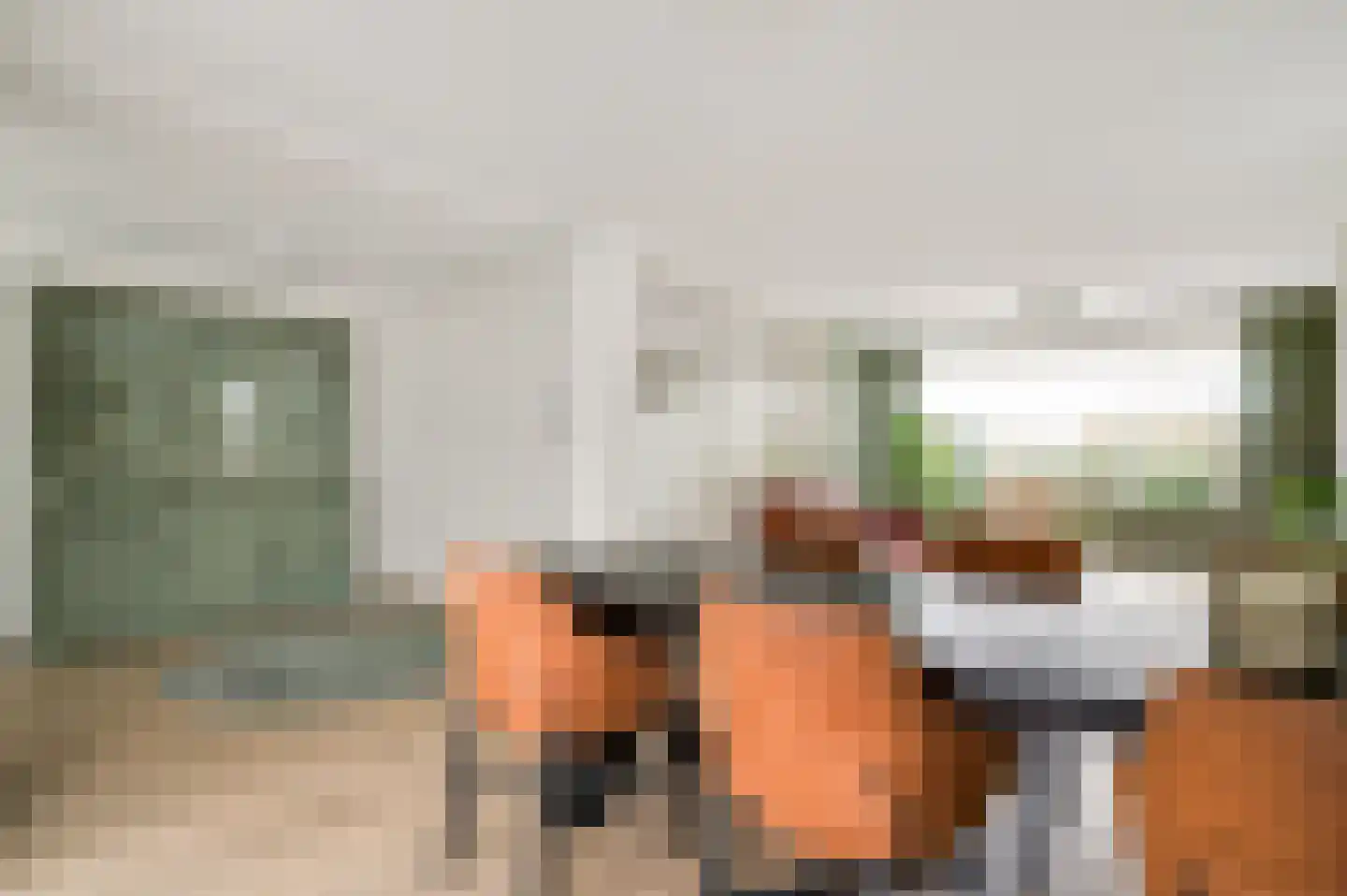 Julianalaan 14 Maarheeze thumbnail 22