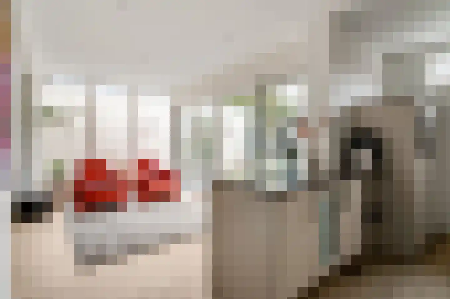 Julianalaan 14 Maarheeze thumbnail 23