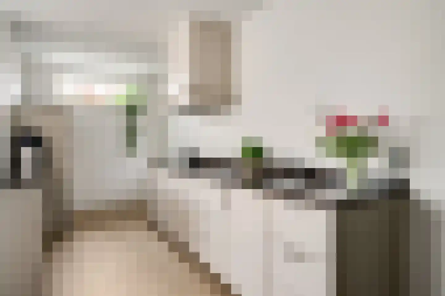 Julianalaan 14 Maarheeze thumbnail 25