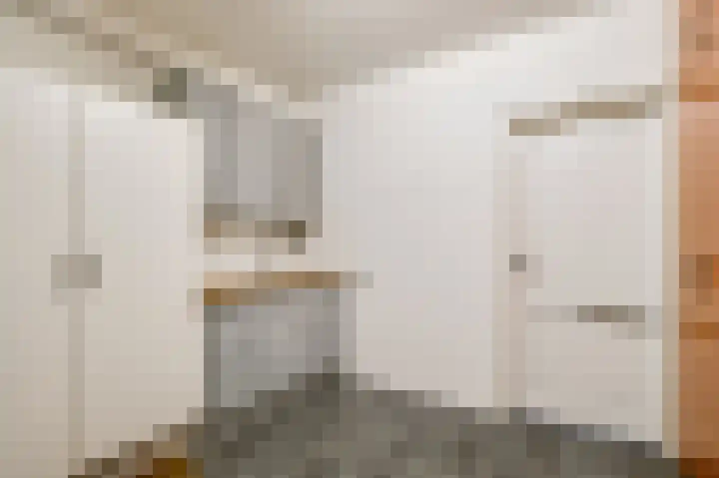 Julianalaan 14 Maarheeze thumbnail 29