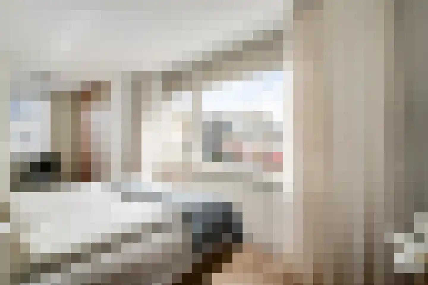 Julianalaan 14 Maarheeze thumbnail 32