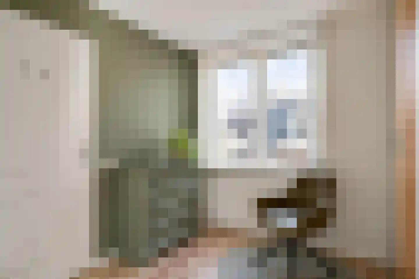Julianalaan 14 Maarheeze thumbnail 33