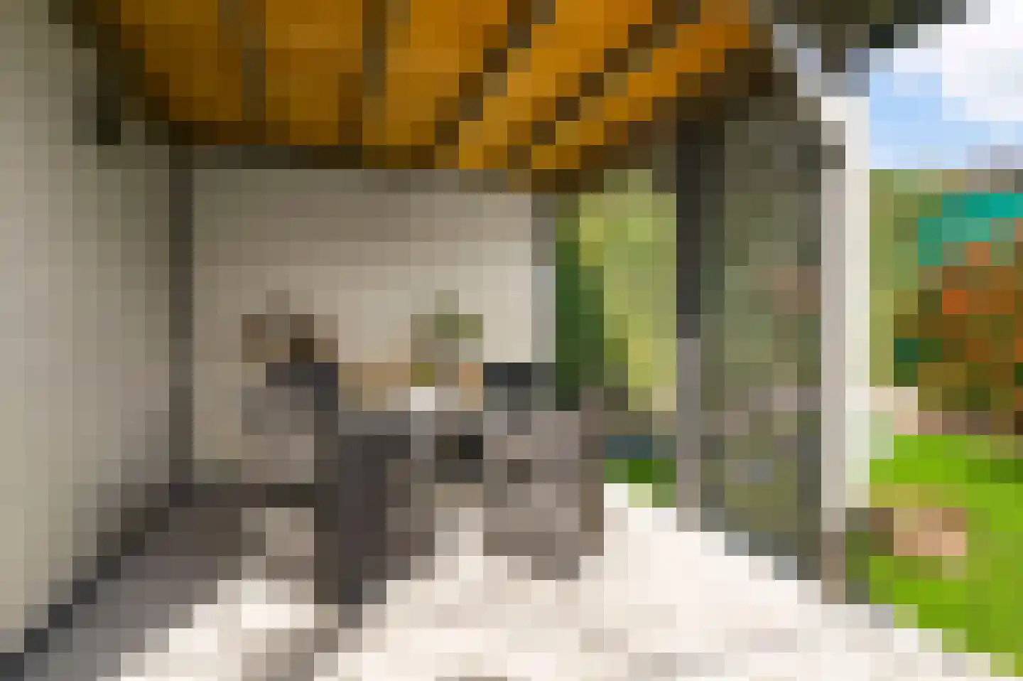 Julianalaan 14 Maarheeze thumbnail 44