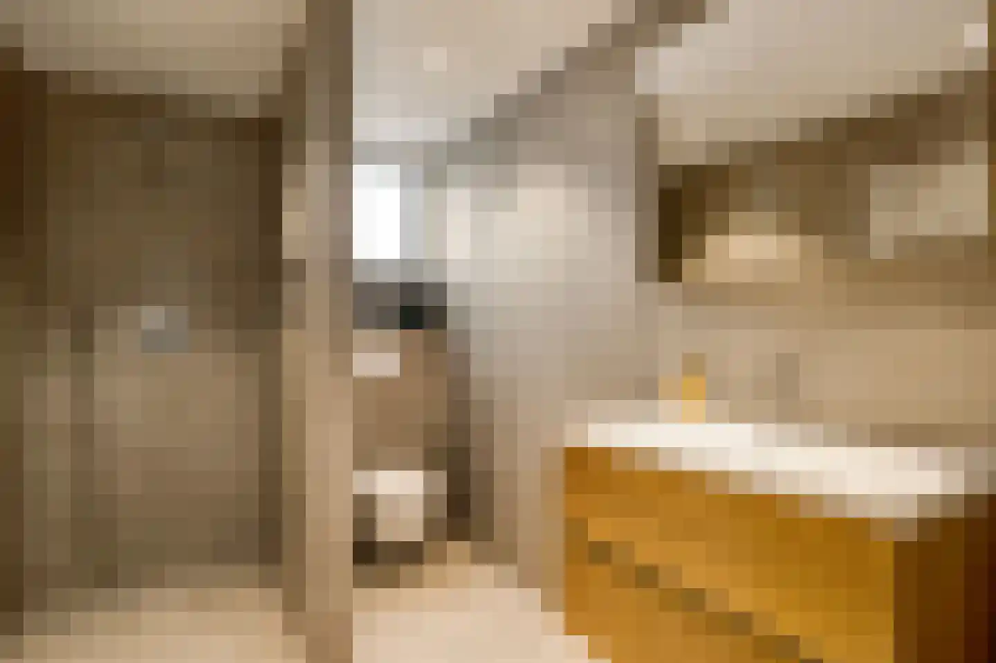 Julianalaan 14 Maarheeze thumbnail 5