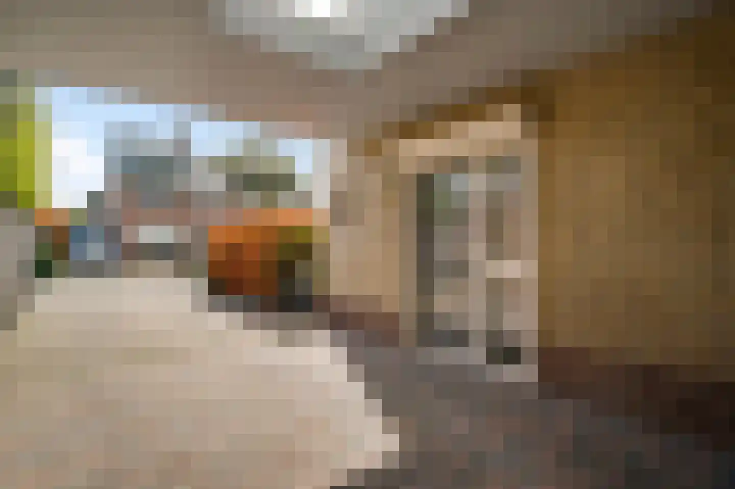Julianalaan 14 Maarheeze thumbnail 9