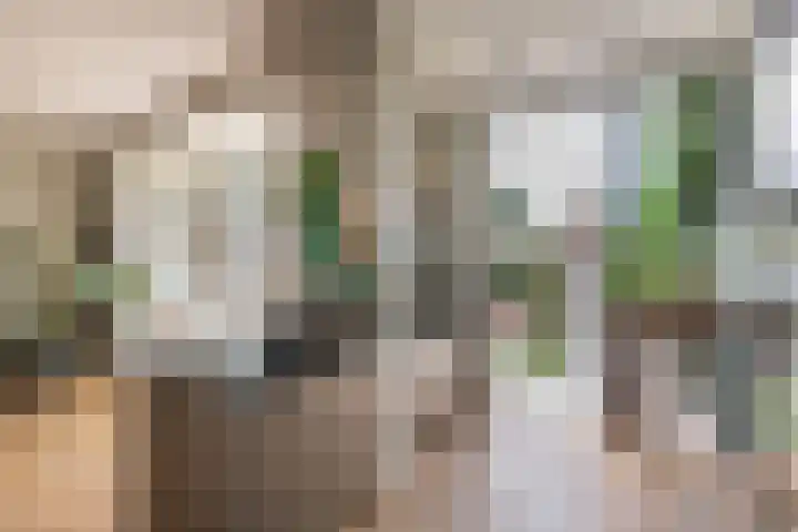 Julianalaan 14 Overveen thumbnail 11