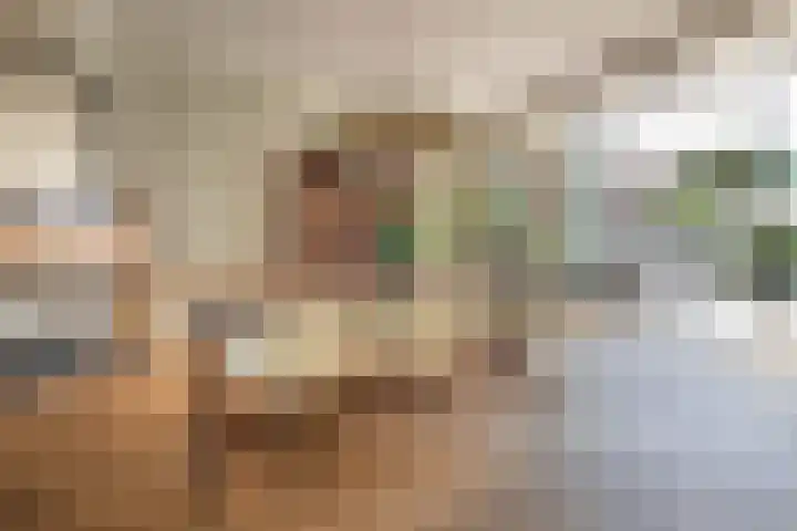 Julianalaan 14 Overveen thumbnail 20