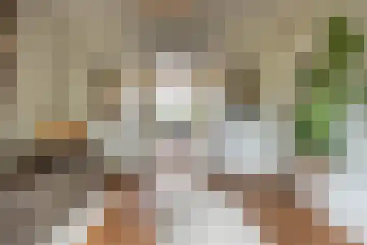 Julianalaan 14 Overveen thumbnail 21