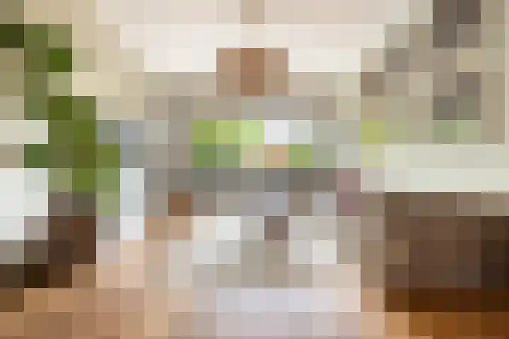 Julianalaan 14 Overveen thumbnail 22