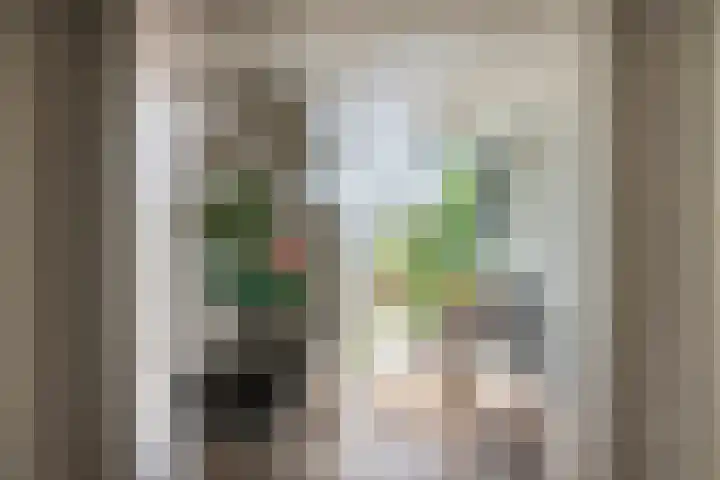 Julianalaan 14 Overveen thumbnail 23
