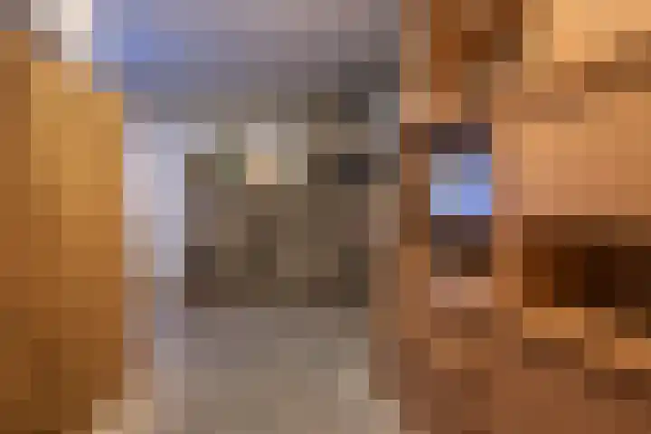 Julianalaan 14 Overveen thumbnail 24
