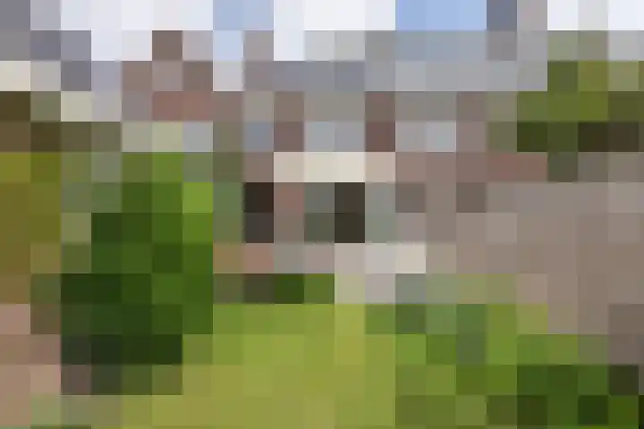 Julianalaan 14 Overveen thumbnail 27
