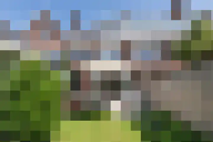 Julianalaan 14 Overveen thumbnail 28