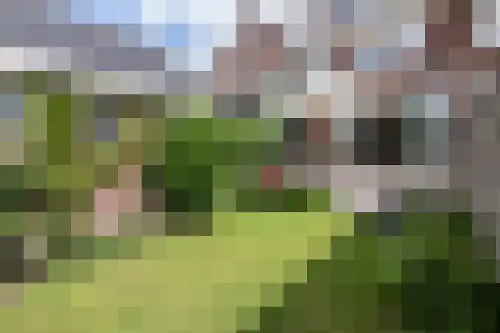 Julianalaan 14 Overveen thumbnail 30