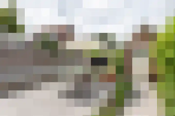 Julianalaan 14 Overveen thumbnail 31
