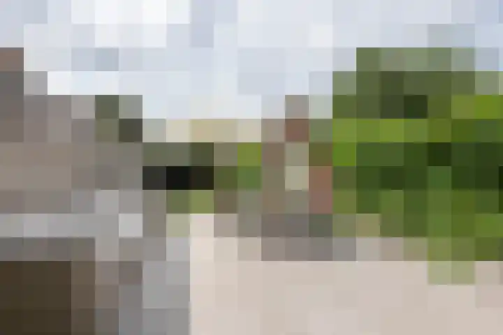 Julianalaan 14 Overveen thumbnail 32