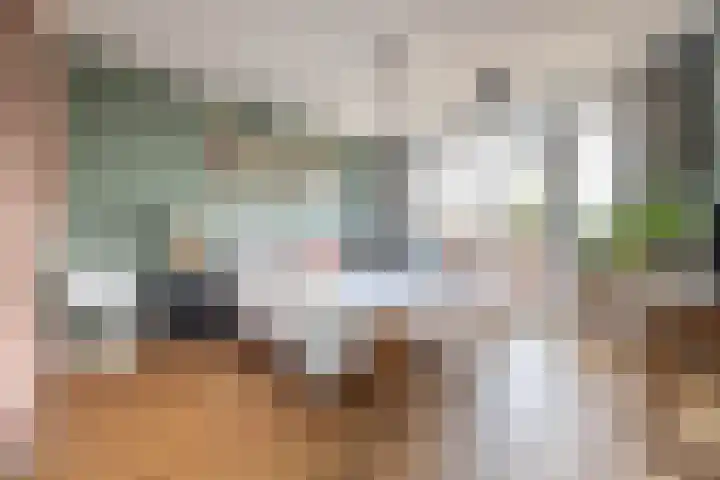 Julianalaan 14 Overveen thumbnail 33