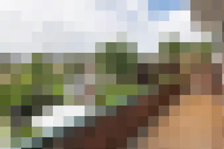 Julianalaan 14 Overveen thumbnail 36