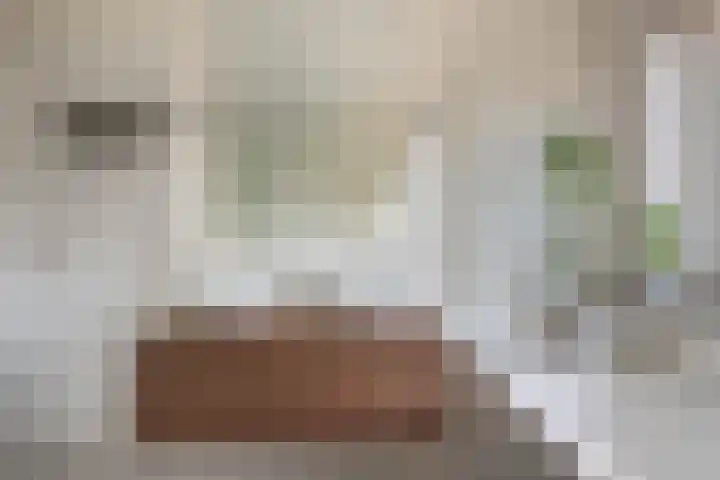 Julianalaan 14 Overveen thumbnail 38
