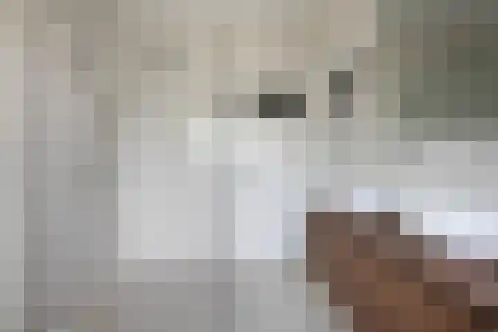 Julianalaan 14 Overveen thumbnail 39