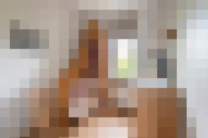 Julianalaan 14 Overveen thumbnail 42