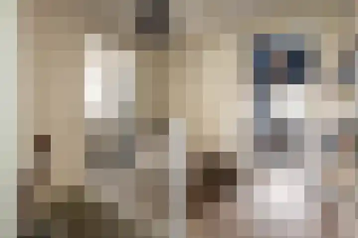 Julianalaan 14 Overveen thumbnail 47