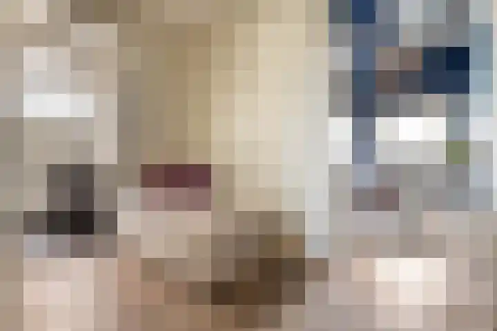 Julianalaan 14 Overveen thumbnail 48