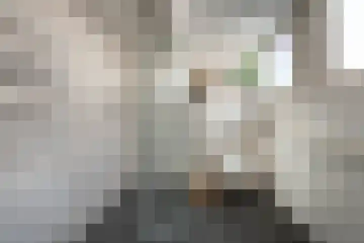 Julianalaan 14 Overveen thumbnail 50