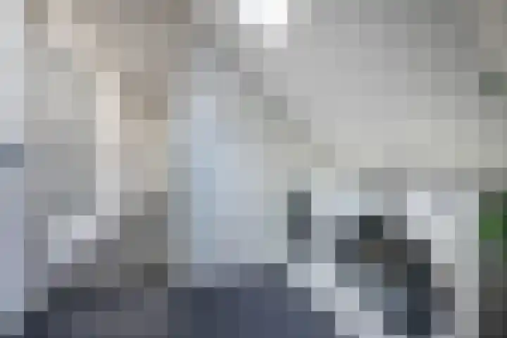 Julianalaan 14 Overveen thumbnail 52