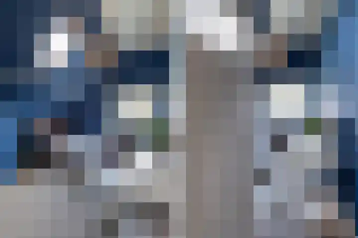 Julianalaan 14 Overveen thumbnail 54