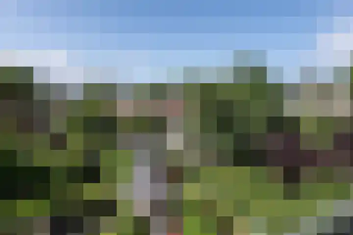 Julianalaan 14 Overveen thumbnail 57