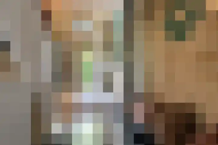 Julianalaan 14 Overveen thumbnail 7