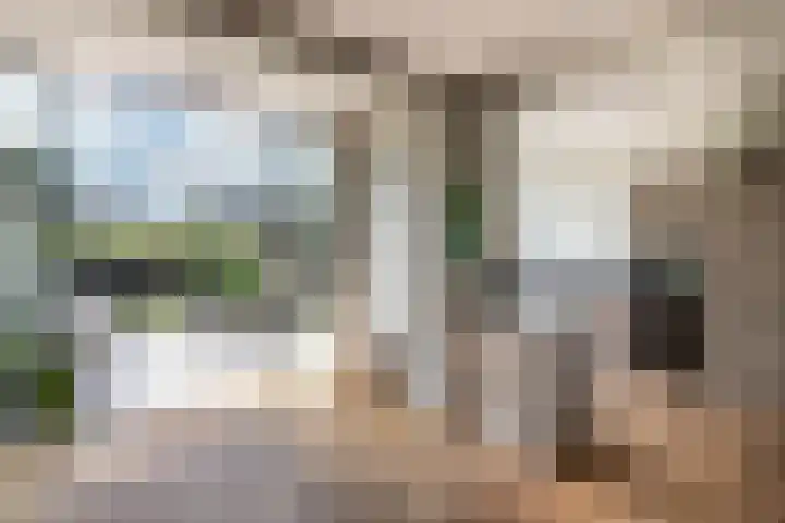 Julianalaan 14 Overveen thumbnail 8
