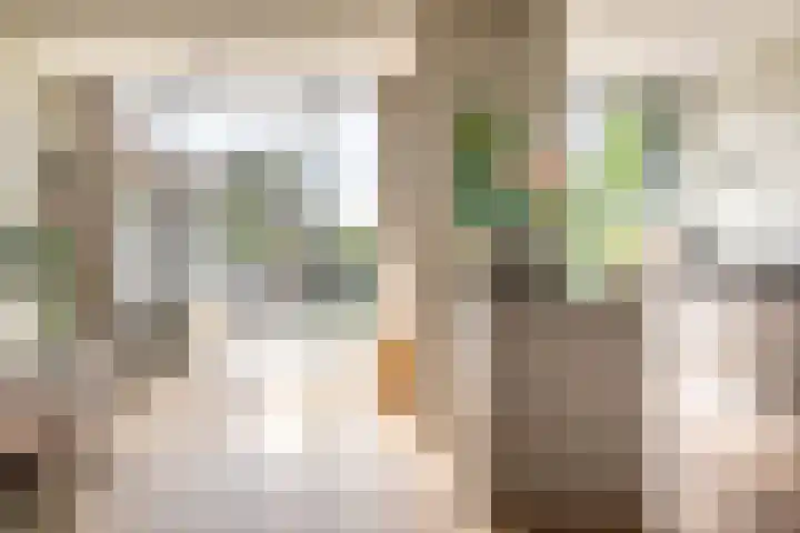 Julianalaan 14 Overveen thumbnail 9