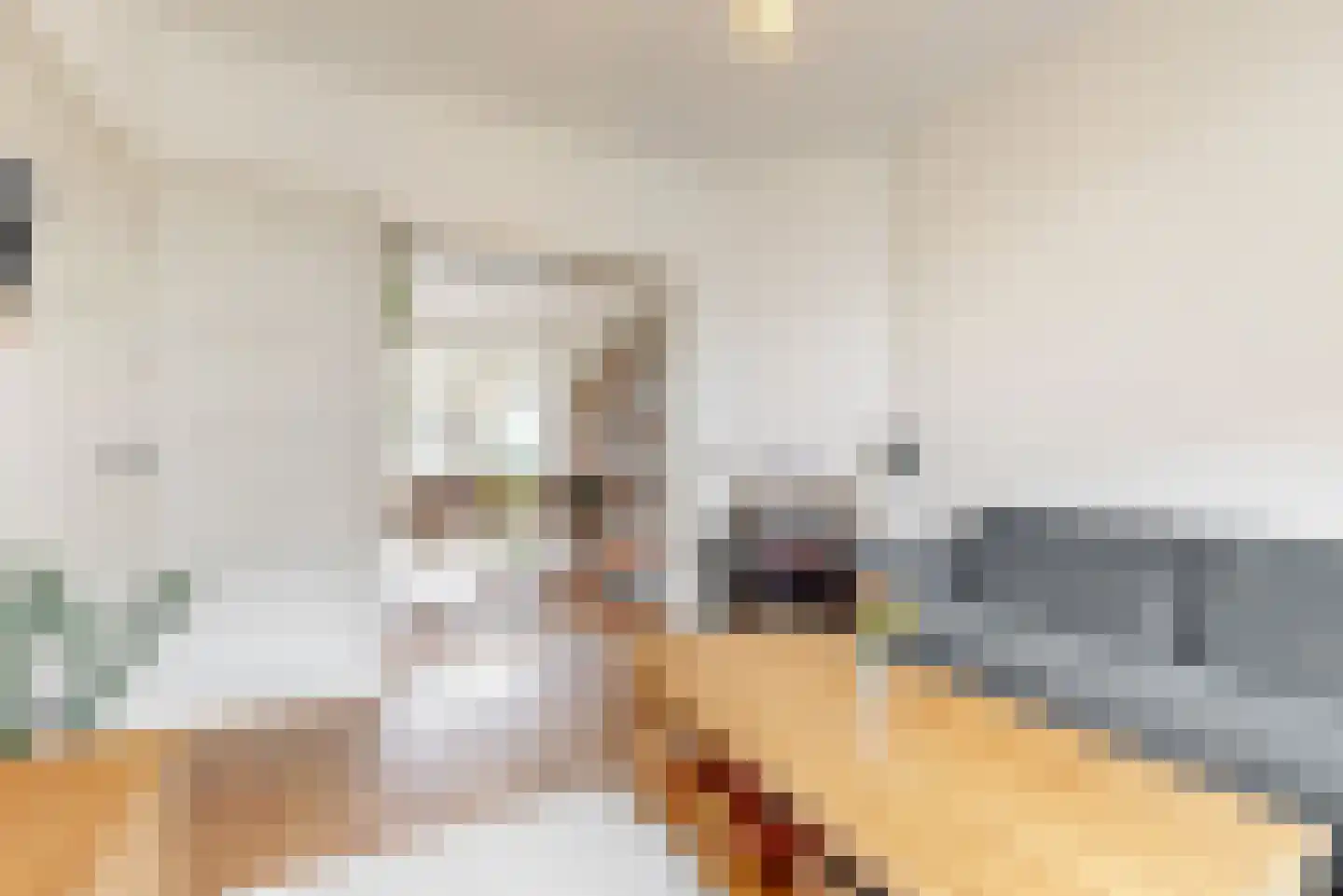 Julianalaan 14 Sassenheim thumbnail 11