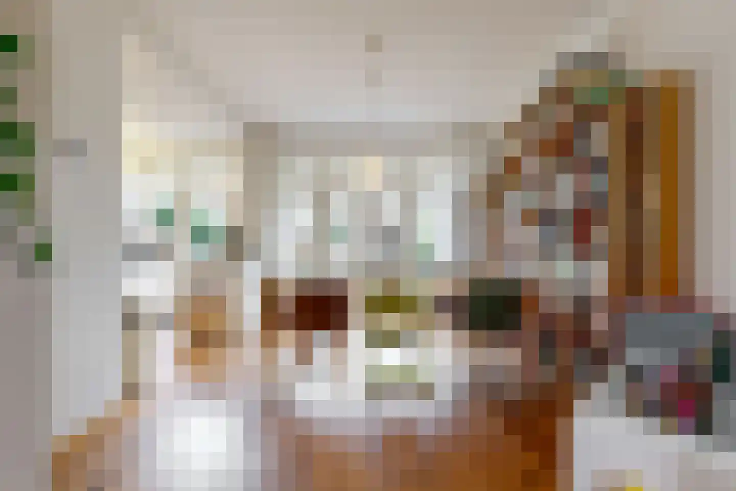 Julianalaan 14 Sassenheim thumbnail 13