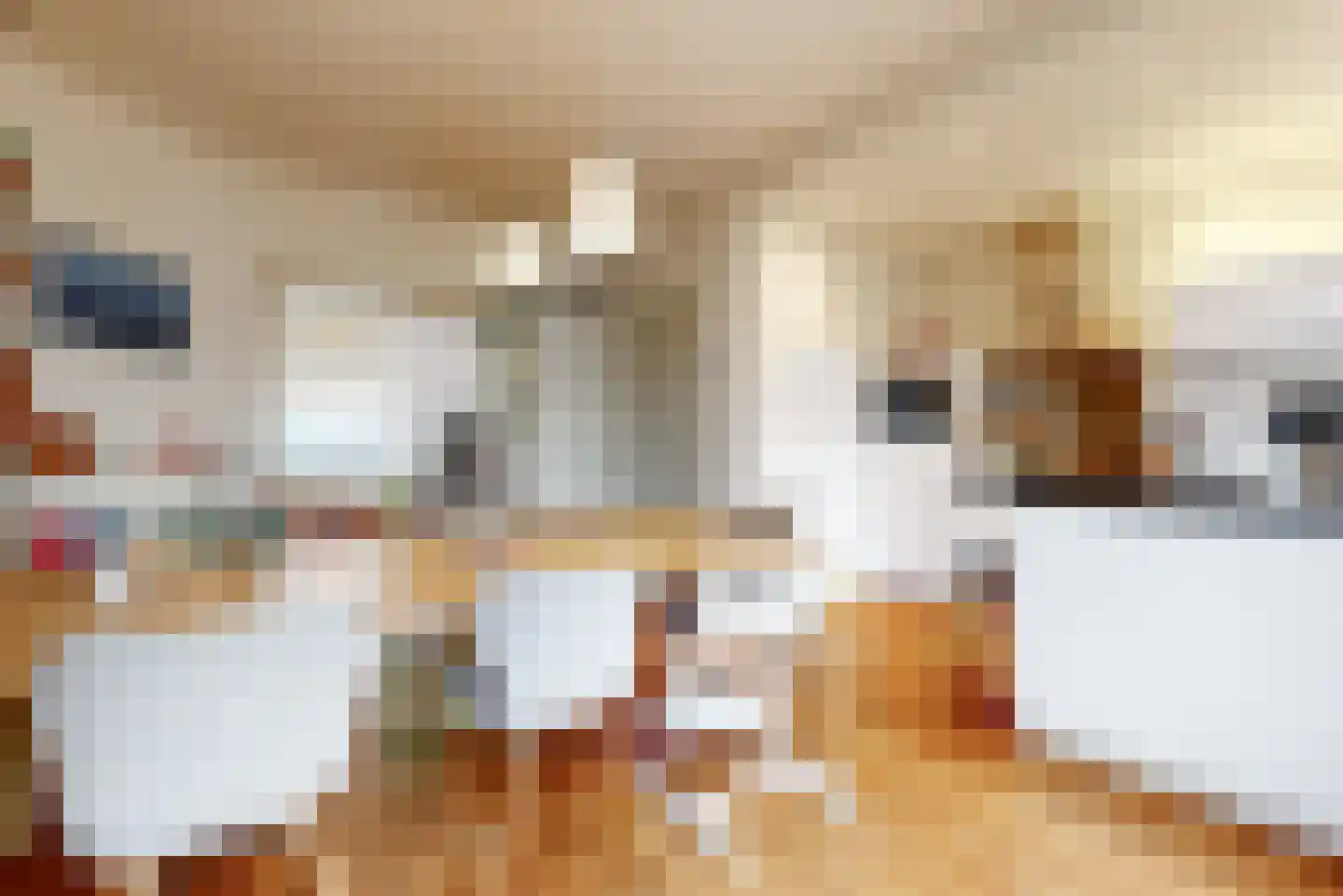 Julianalaan 14 Sassenheim thumbnail 15